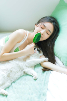 清网行动电视剧